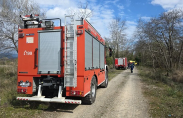 Νεκρός 68χρονος στη Λαμία: Καταπλακώθηκε από δέντρο μπροστά στα μάτια της γυναίκας του