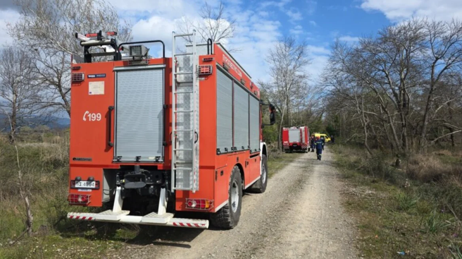 Νεκρός 68χρονος στη Λαμία: Καταπλακώθηκε από δέντρο μπροστά στα μάτια της γυναίκας του