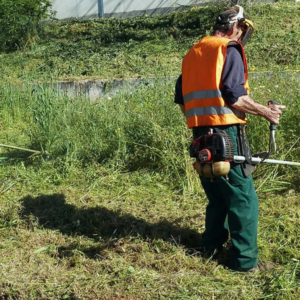 Από την 1η Απριλίου ο υποχρεωτικός καθαρισμός των οικοπέδων: Ποια τα πρόστιμα