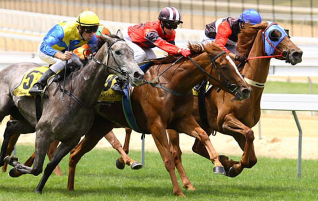 Τουρκία: Τάιζαν με κρέας αλόγου κούρσας δημοτικό συσσίτιο