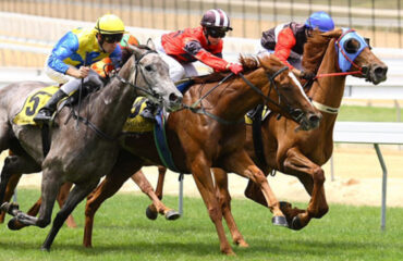Τουρκία: Τάιζαν με κρέας αλόγου κούρσας δημοτικό συσσίτιο