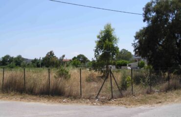 Από σήμερα οι υποχρεωτικοί καθαρισμοί των οικοπέδων: Με τι πρόστιμο κινδυνεύουν οι ιδιοκτήτες