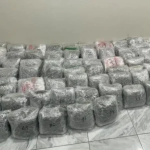 43χρονος μετέφερε πάνω από 75 κιλά κάνναβης – Σε εξέλιξη η καταδίωξη από την Καστοριά στην Κοζάνη