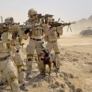 Επιχείρηση Dehdasht: Η SEAL Team 6 που είχε εξοντώσει τον  Μπιν Λάντεν ήταν αυτή που διέσωσε τον πιλότο του F-15