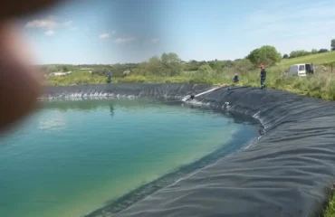 Κατερίνη: Συνεργείο του δήμου απεγκλώβισε έξι σκυλιά που έπεσαν σε ταμιευτήρα άρδευσης (βίντεο)