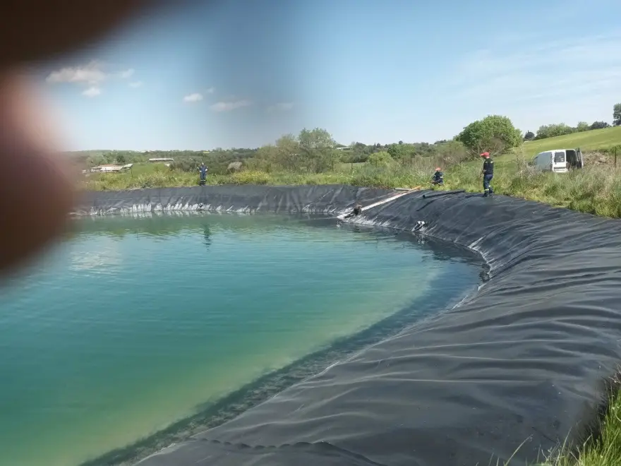 Κατερίνη: Συνεργείο του δήμου απεγκλώβισε έξι σκυλιά που έπεσαν σε ταμιευτήρα άρδευσης (βίντεο)