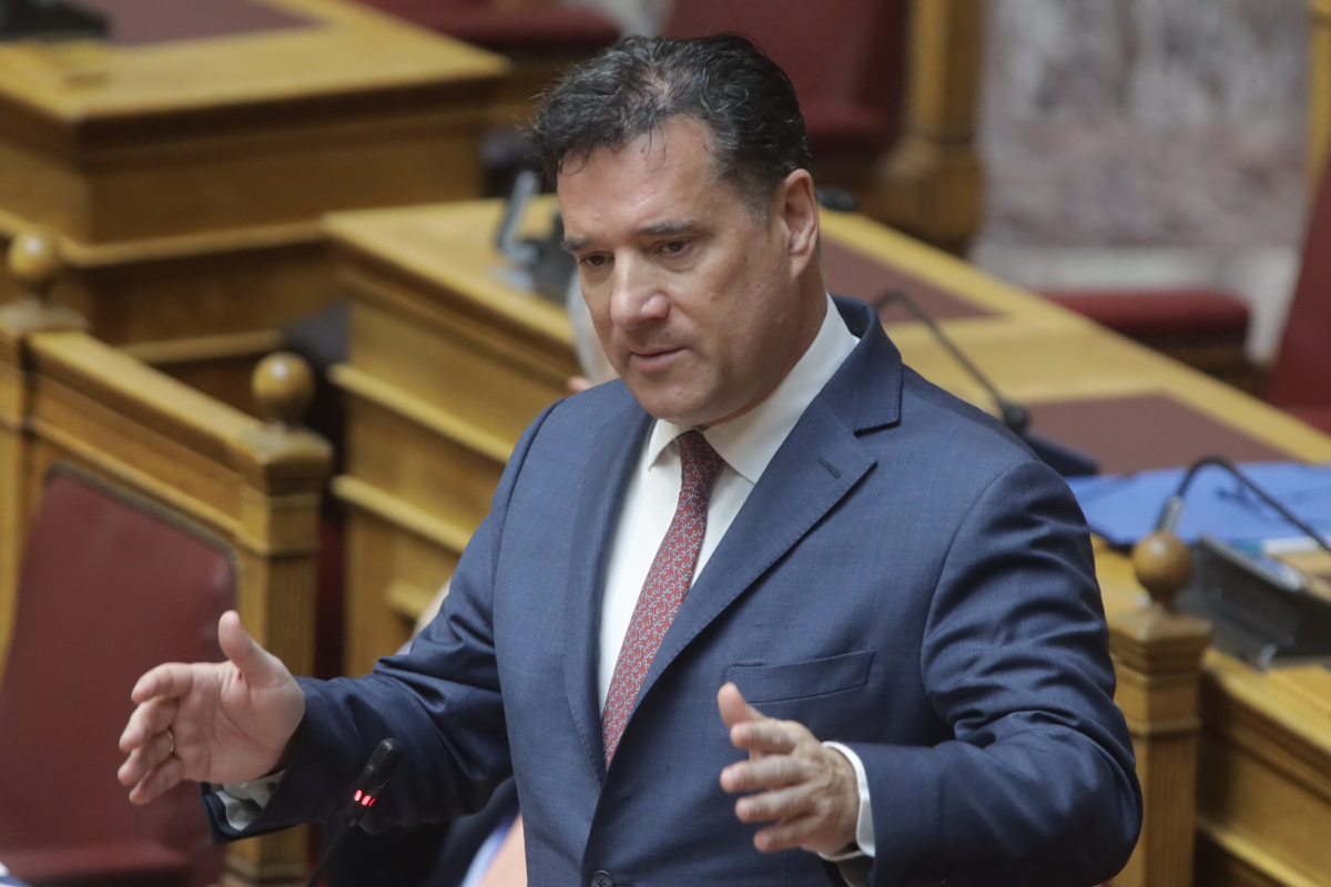 Α.Γεωργιάδης για ΟΠΕΚΕΠΕ: «Η ευρωπαία εισαγγελέας Π.Παπανδρέου εκβιάζει για την ανανέωση της θητείας της»