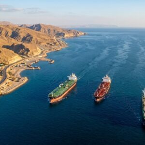 Μυστήριο με την αναστροφή δώδεκα πλοίων στα Στενά του Ορμούζ – Επέστρεψαν επειγόντως πίσω (βίντεο)