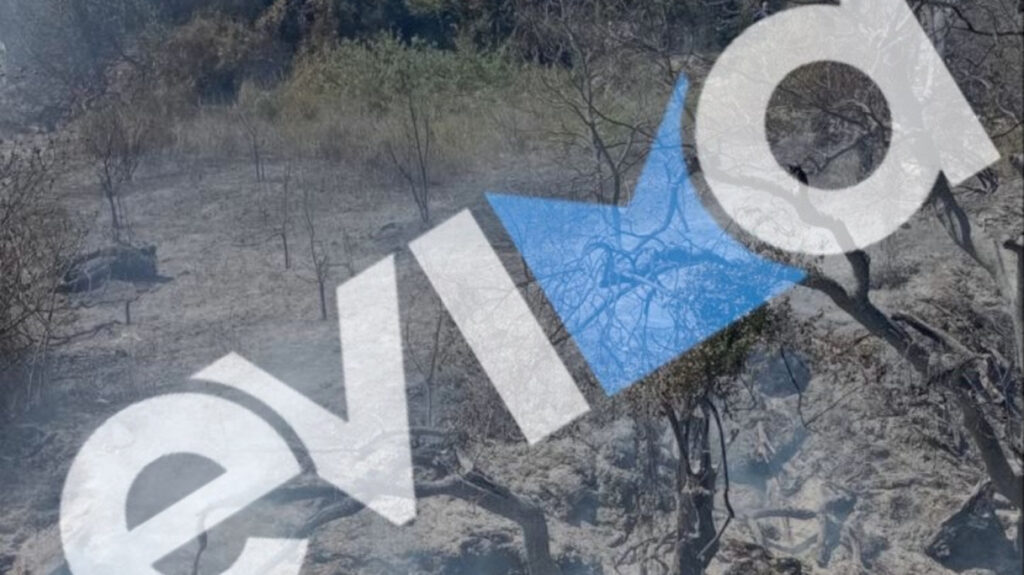 Χειροπέδες σε 56χρονο στην Εύβοια: Ευθύνεται για την πρόκληση πυρκαγιάς σε δασική έκταση