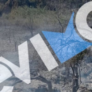 Χειροπέδες σε 56χρονο στην Εύβοια: Ευθύνεται για την πρόκληση πυρκαγιάς σε δασική έκταση