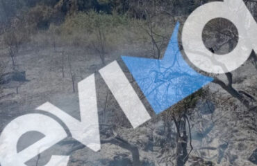 Χειροπέδες σε 56χρονο στην Εύβοια: Ευθύνεται για την πρόκληση πυρκαγιάς σε δασική έκταση