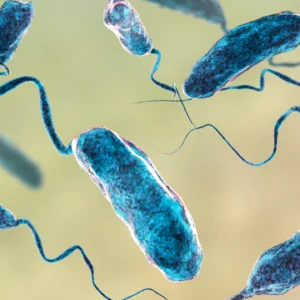 ΗΠΑ: Τον τρόμο έχει σπείρει «σαρκοφάγο» βακτήριο στα νερά του Long Island – Προκαλεί ακόμα και θάνατο