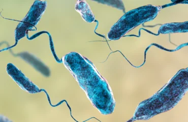 ΗΠΑ: Τον τρόμο έχει σπείρει «σαρκοφάγο» βακτήριο στα νερά του Long Island – Προκαλεί ακόμα και θάνατο