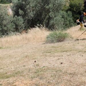 Μέχρι τις 15 Ιουνίου η προθεσμία για τα ακαθάριστα οικόπεδα – Ποιοι κινδυνεύουν με φυλάκιση!