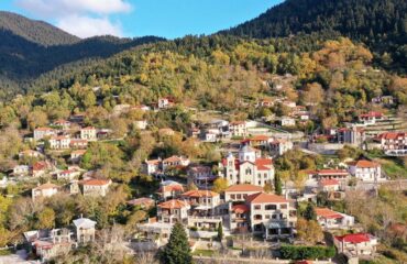 Ευρυτανία: Εντοπίστηκε χειροβομβίδα από τον Β’ Παγκόσμιο Πόλεμο έξω από το χωριό «Νόστιμο»