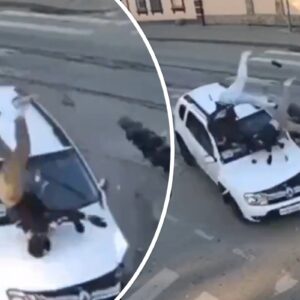 Τρομακτικό τροχαίο στη Ρωσία: Μηχανή «καρφώθηκε» σε ΙΧ και οι αναβάτες της «εκσφενδονίστηκαν» (βίντεο)