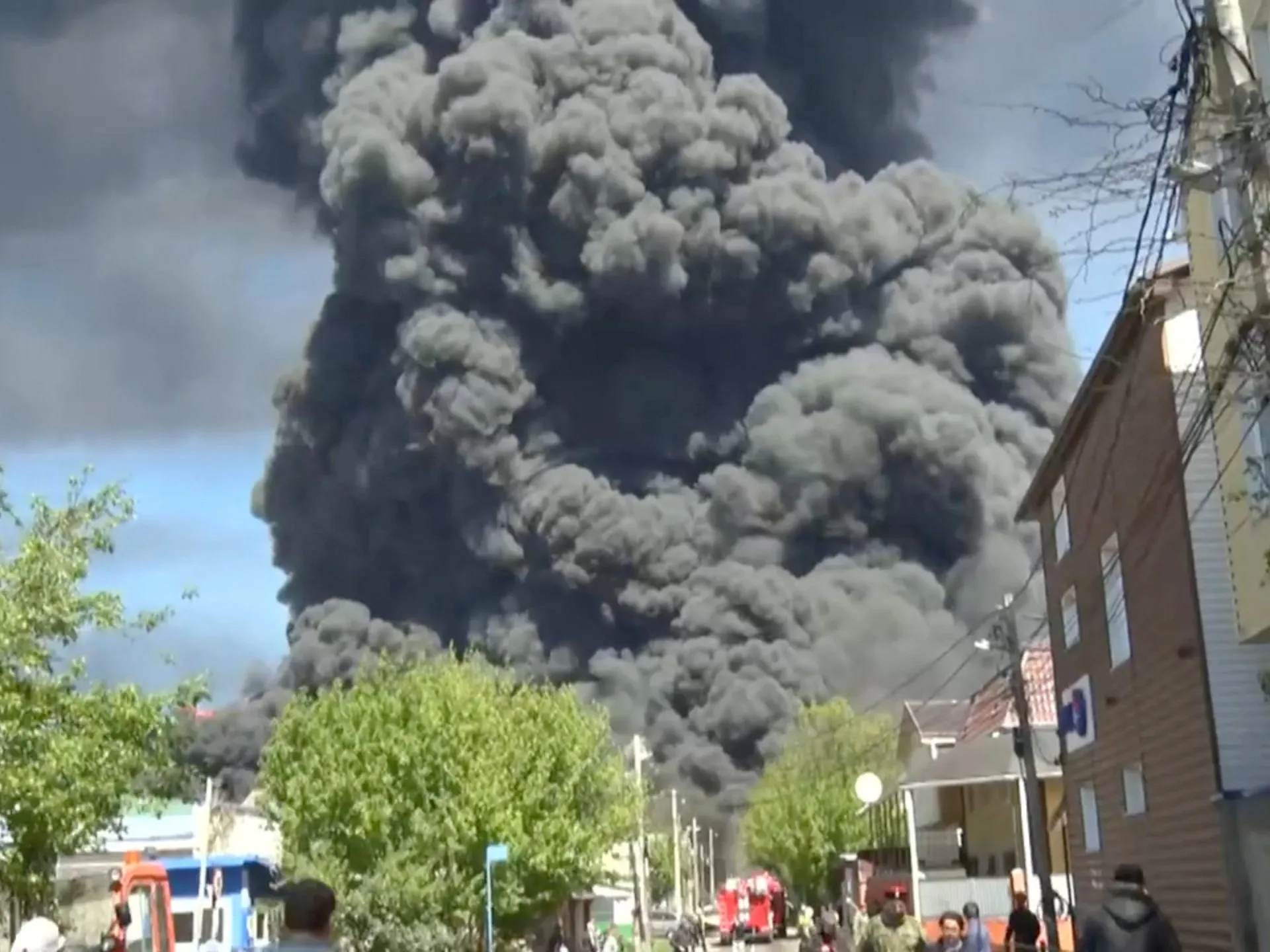 Οι Ουκρανοί καταστρέφουν το οικοσύστημα της Μαύρης Θάλασσας με τις «ευλογίες» της ΕΕ και της Βρετανίας!