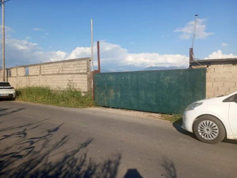 Θρίλερ στη Μεσσηνία με τον 42χρονο Αλβανό που βρέθηκε νεκρός σε στάβλο: Τον σκότωσαν με μια σφαίρα στο κεφάλι