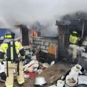 Ρωσία: Εκτροφείο σκύλων τυλίχθηκε στις φλόγες – Κάηκαν ζωντανά 200 τσιουάουα (βίντεο)