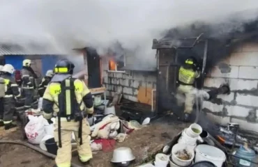 Ρωσία: Εκτροφείο σκύλων τυλίχθηκε στις φλόγες – Κάηκαν ζωντανά 200 τσιουάουα (βίντεο)