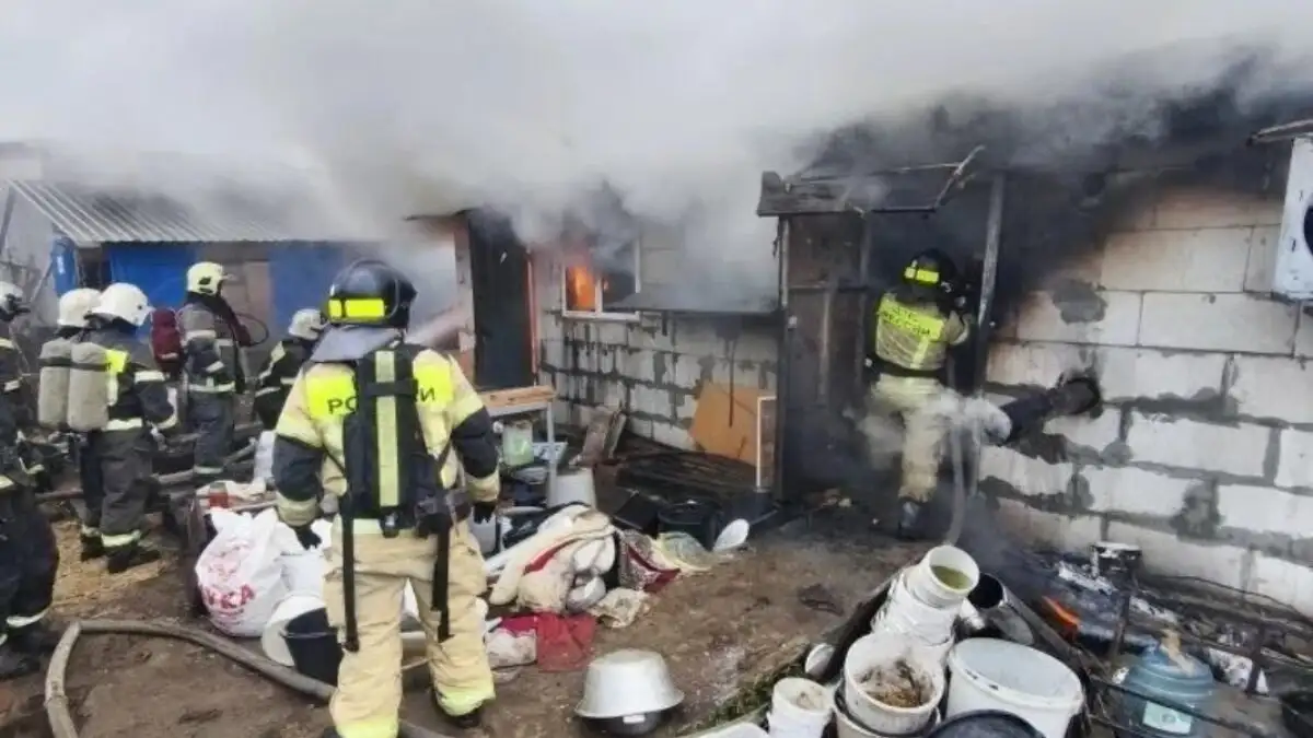 Ρωσία: Εκτροφείο σκύλων τυλίχθηκε στις φλόγες – Κάηκαν ζωντανά 200 τσιουάουα (βίντεο)