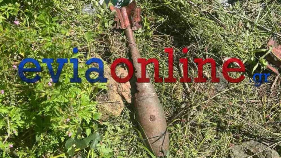 Βρέθηκαν δύο ρουκέτες μέσα σε οικόπεδο στην Εύβοια (φώτο)