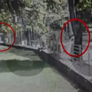 Βίντεο ντοκουμέντο από την δραση του Πακιστανού που πετούσε πέτρες σε ανύποπτες γυναίκες