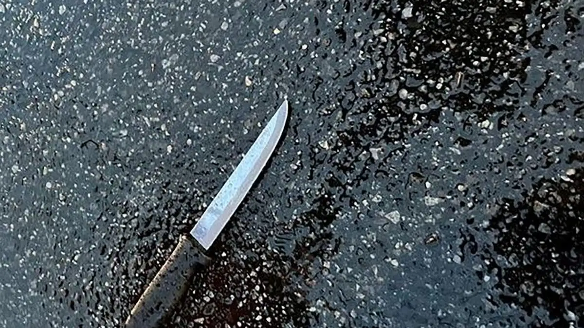 Χαλκιδική: Προφυλακιστέος ο 32χρονος Ουκρανός που επιτέθηκε με μαχαίρι σε οικογένεια