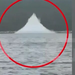 Βίντεο: H στιγμή της εξουδετέρωσης των εκρηκτικών που έφερε το ουκρανικό σκάφος – drone στη Λευκάδα