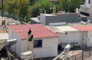 Γιαγιά παιδιών που ζούσαν σε «τρώγλη» στο Περιστέρι: «Δεν πήγαιναν σχολείο – Θα ζητήσω την επιμέλειά τους»