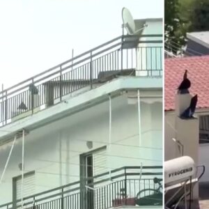 Περιστέρι: Φυλάκιση 16 μηνών στους γονείς που ζούσαν σε σπίτι «τρώγλη» με τα παιδιά τους – «Να πάνε κάπου καλύτερα»