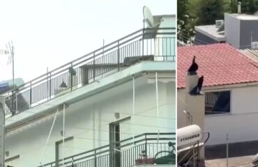 Περιστέρι: Φυλάκιση 16 μηνών στους γονείς που ζούσαν σε σπίτι «τρώγλη» με τα παιδιά τους – «Να πάνε κάπου καλύτερα»