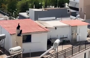 Σε τρώγλη έμενε η πολύτεκνη μητέρα από το Περιστέρι: Ήταν έγκυος στο 7ο παιδί – Τι δήλωσε ο σύζυγός της (βίντεο)