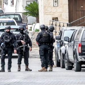 Σπείρα εκβιασμών στην Κρήτη: Έκοψαν με αλυσοπρίονα 134 ελιές αγρότη που αρνήθηκε να παραδώσει το χωράφι του