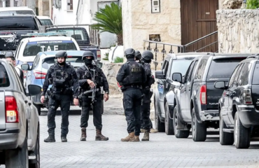 Σπείρα εκβιασμών στην Κρήτη: Έκοψαν με αλυσοπρίονα 134 ελιές αγρότη που αρνήθηκε να παραδώσει το χωράφι του