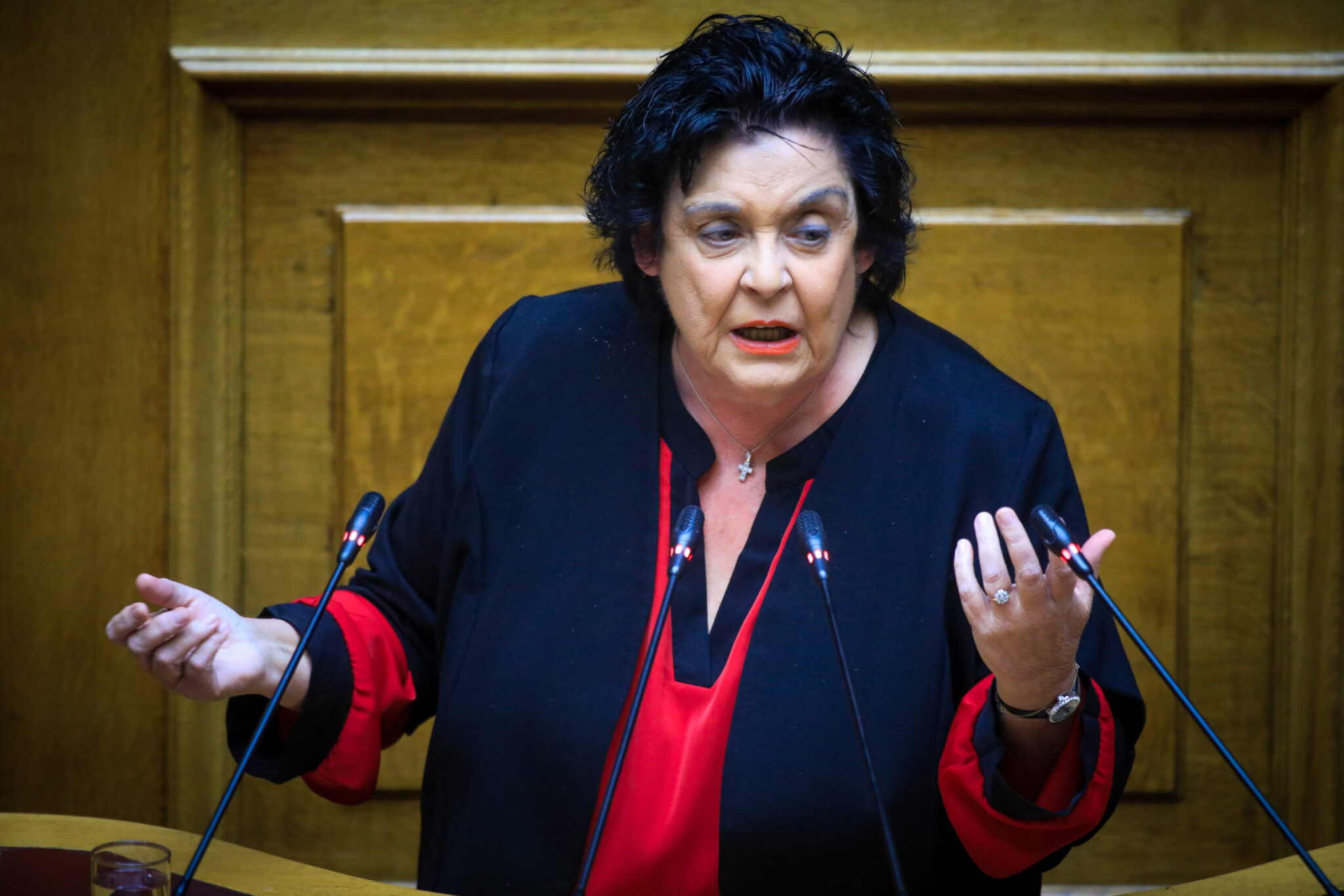 «Πυρά» Λ.Κανέλλη κατά Ζ.Κωνσταντοπούλου: «Αυτό που βλέπω μου προξενεί οίκτο»