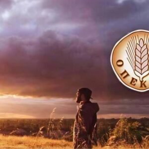 ΟΠΕΚΕΠΕ: Η ΔΑΟΕ έχει εξαρθρώσει πέντε μέχρι τώρα μεγάλες συμμορίες που δρούσαν υπό κυβερνητική κάλυψη