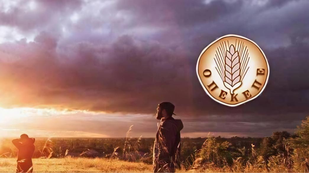 ΟΠΕΚΕΠΕ: Η ΔΑΟΕ έχει εξαρθρώσει πέντε μέχρι τώρα μεγάλες συμμορίες που δρούσαν υπό κυβερνητική κάλυψη