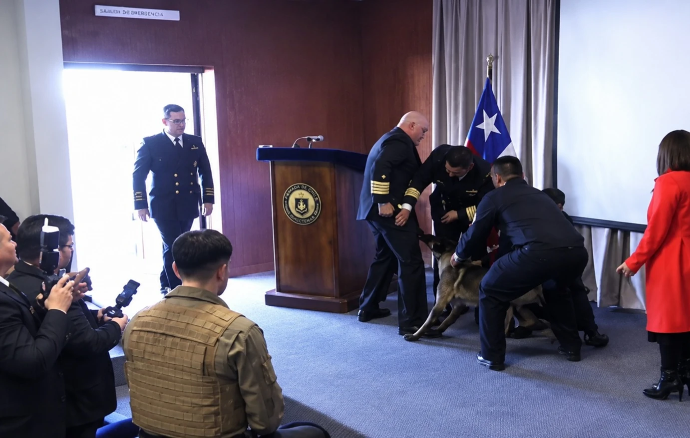 Χιλή: H στιγμή που σκύλος ανίχνευσης ναρκωτικών αρπάζει αξιωματικό από… την τσέπη σε παρουσίαση (βίντεο)