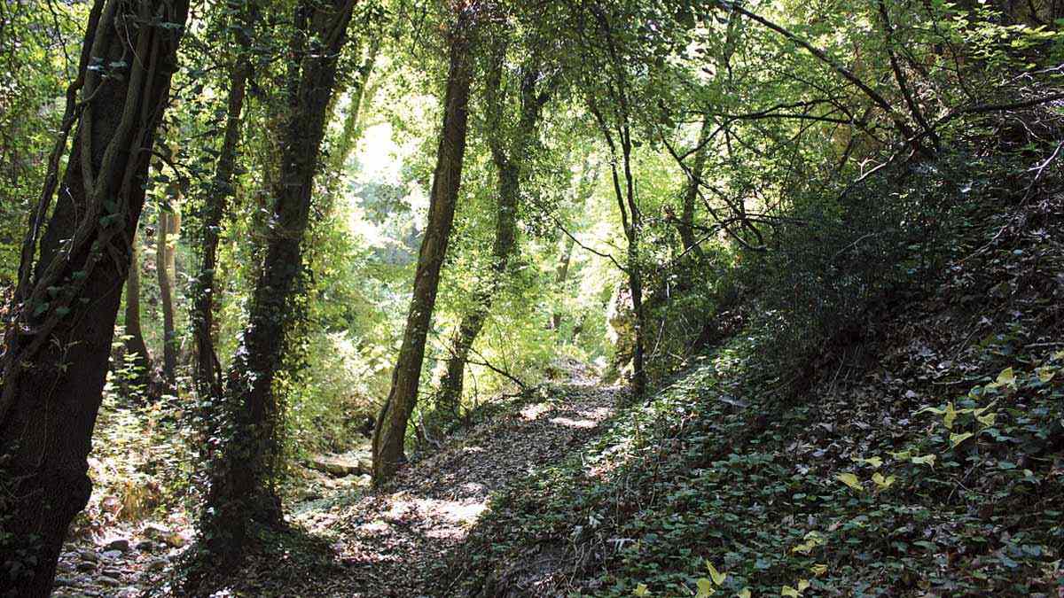Ζευγάρι που επέβαινε σε γουρούνα τραυματίστηκε μετά την ανατροπή του οχήματος στο φαράγγι του Καρτερού
