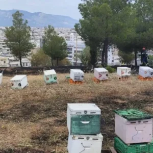 Συνελήφθη ο 45χρονος μελισσοκόμος για την φωτιά στο Άλσος Βεΐκου