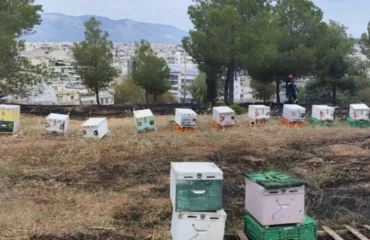 Συνελήφθη ο 45χρονος μελισσοκόμος για την φωτιά στο Άλσος Βεΐκου