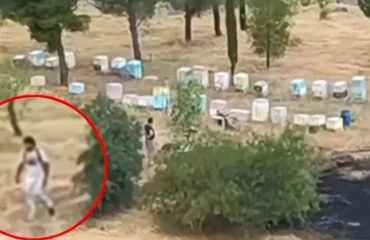 Αθωώθηκε ο μελισσοκόμος που κατηγορήθηκε για τον εμπρησμό στο άλσος Βεΐκου