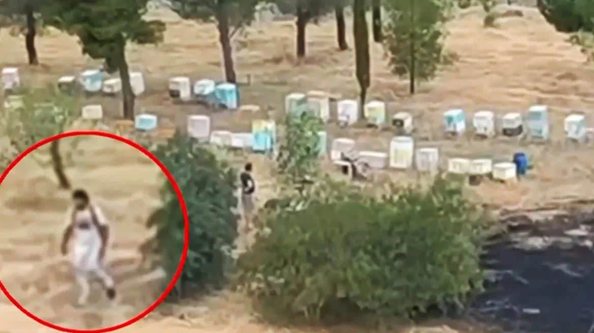 Αθωώθηκε ο μελισσοκόμος που κατηγορήθηκε για τον εμπρησμό στο άλσος Βεΐκου