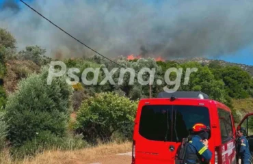 Εύβοια: Βελτιωμένη η εικόνα της φωτιάς στην Κάρυστο: Εκκενώθηκαν Μεσοχώρια και Ραπταίοι (φωτο – βίντεο) (upd)