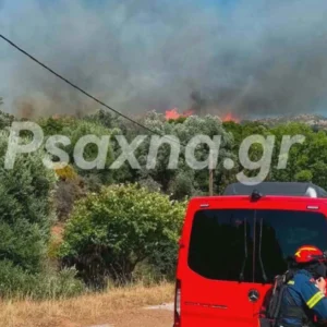 Μεγάλη φωτιά στην Εύβοια: Εκκενώνονται Μεσοχώρια και Ραπταίοι (φωτο – βίντεο)