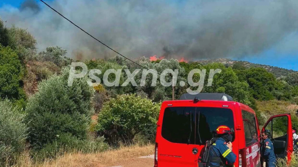 Μεγάλη φωτιά στην Εύβοια: Εκκενώνονται Μεσοχώρια και Ραπταίοι (φωτο – βίντεο)