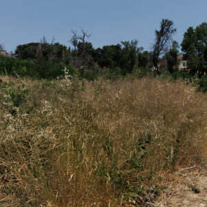 Ξεκινούν οι έλεγχοι στα ακαθάριστα οικόπεδα: Πρόστιμα έως 5.000 ευρώ και ποινές για ψευδείς δηλώσεις