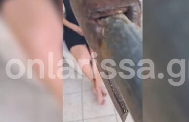 Λάρισα: Έκανε ζωντανή μετάδοση ο 50χρονος που είχε όμηρο τη γυναίκα του