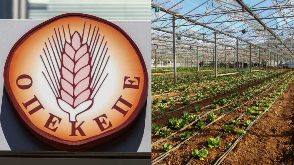 Ένοχοι 57 αγρότες για παράνομη είσπραξη επιδοτήσεων του ΟΠΕΚΕΠΕ: 27 από αυτούς ήταν στελέχη και οπαδοί της ΝΔ!